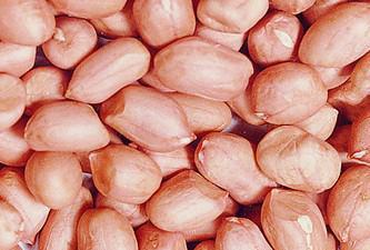 购销传统米 油料米 双粒果 花生米及其他农副产品
