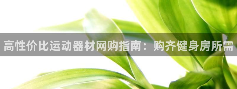 海南意昂体育3发展怎么样：高性价比运动器材网购指南：