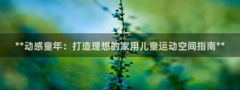 德国意昂3集团：**动感童年：打造理想的家用儿童运动