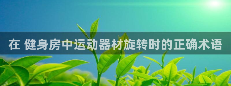 意昂体育3：在 健身房中运动器材旋转时的正确术语