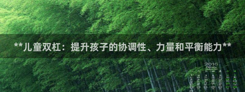 意昂3神州：**儿童双杠：提升孩子的协调性、力量和平衡能力*